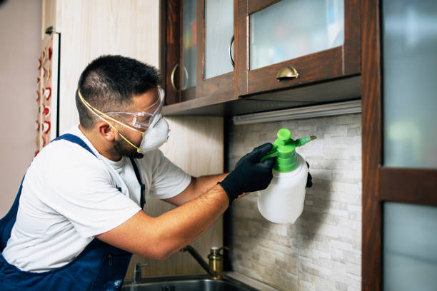 Best Best Pest Control Companies  in South Berwick, ME