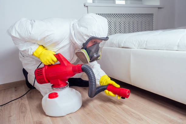 Best Affordable Pest Control Services  in South Berwick, ME