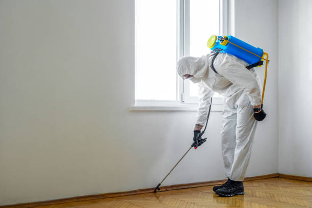 Best Flea Control Services  in South Berwick, ME