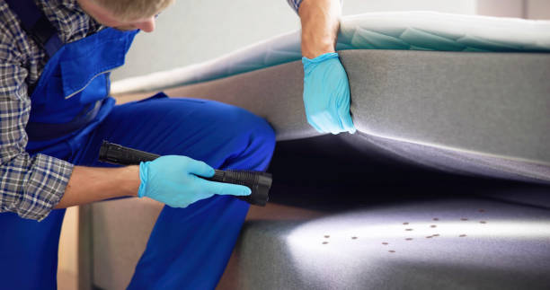 Best Bed Bug Extermination  in South Berwick, ME