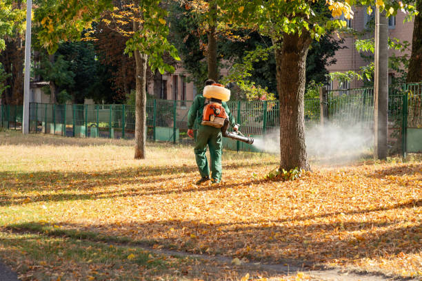 Best Wasp Removal Services  in South Berwick, ME