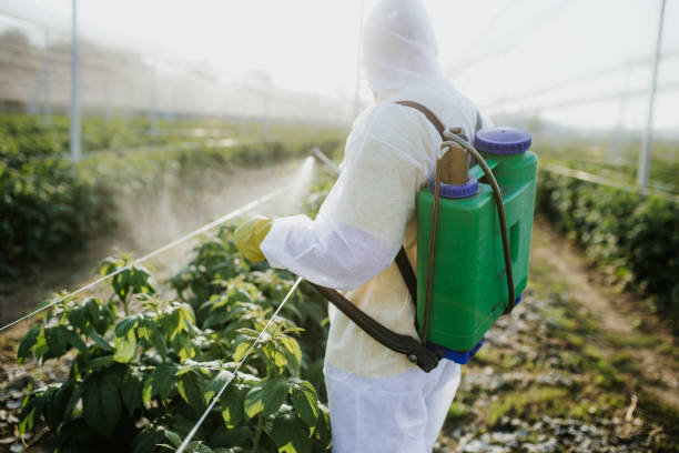 Best Commercial Pest Control Services  in South Berwick, ME